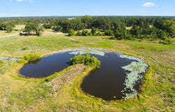 Private Road 607, Teague, TX 75860