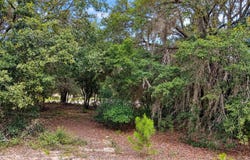 SE MALAUKA LOOP RUN Road, OCKLAWAHA, FL 32179