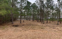 Sunset Road lot: 37, Belhaven, NC 27810