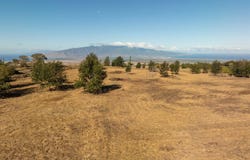 Naele Rd, Kula, HI 96790