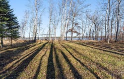 S Shore Drive, Emily, MN 56447