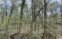 Mississippi 7, Holly Springs, MS 38635