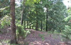 1 Timber Ridge Road, Eureka Springs, AR 72632