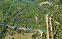 E Chapel Road, Laurel Hill, FL 32567