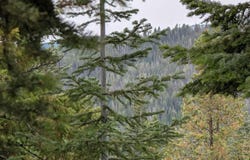 524 Rhett Creek Road, Dixie, ID 83525