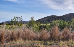 Los Llanos, Coamo, PR 00769