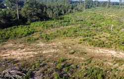 Ebenezer Road, Columbia, MS 39429