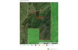 County Road 830, Thornfield, MO 65762