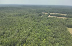 T K Lane, Pontotoc, MS 38863