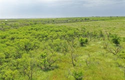 FM 2321 TRACT 2, Bellevue, TX 76228