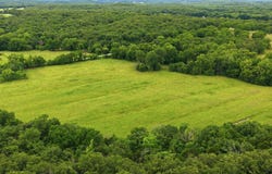 17445 E 418 Road, Stockton, MO 65785