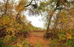 Lt2 County Road AS, Waldo, WI 53093