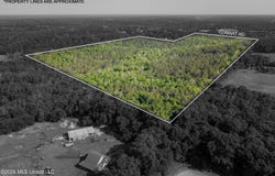 Cowart Road, Lucedale, MS 39452