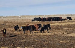 227 Lane 14, Powell, WY 82435