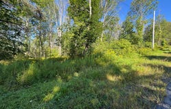 Sisson Hill Rd., Unadilla, NY 13849