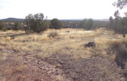 N Trackside Trail Lane, Ash Fork, AZ 86320