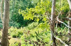 406 Terrapin Pointe Road, Hodges, SC 29563