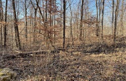 1901 Dixie Bend Road, Burnside, KY 42519