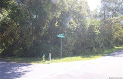 1012 & 1030 E McKinley Street, Hernando, FL 34442