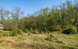 Ember Lane, Ohatchee, AL 36271