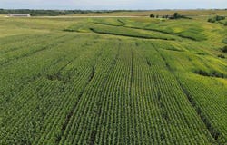 Kornhill Road, Wadena, IA 52142