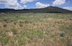 Shirley Drive lot: 10, Questa, NM 87556