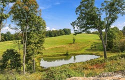 343 Walker Rd, Washington Twp, PA 15613