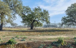 598 NW River Rd, Martindale, TX 78655