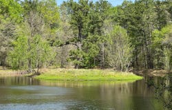 9296 Cr302, Plantersville, TX 77363