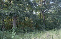 Lake Ridge Estates, Searcy, AR 72143