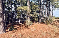 Womack Road, Bald Knob, AR 72010