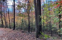 39a Hedden Stiles lot: 0, Murphy, NC 28906