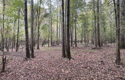 Nova Jean Road, Fordyce, AR 71742