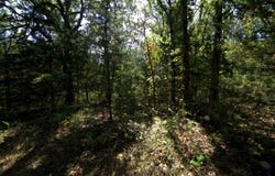 Tract 1 Simpson Road, Urbana, MO 65767