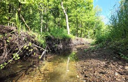 Salt Creek Road, Millfield, OH 45761