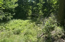 V/L Teal Road, Pellston, MI 49769