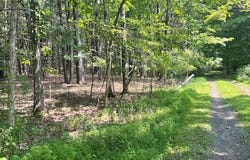 L-33 Harring Drive, Cairo, NY 12413