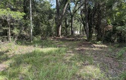 SW 595th Ave, Horseshoe Beach, FL 32648