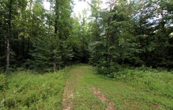 164 Reservior Road, Springfield, AR 72157