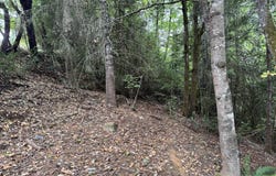 487 MONTGOMERY Ave, Glendale, OR 97442