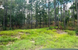 State Highway 225, Bay Minette, AL 36507
