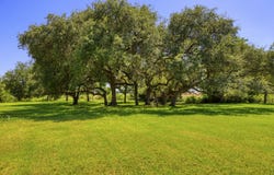 433 MILLS LN, Uvalde, TX 78801