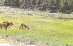 NM SR 112, Tierra Amarilla, NM 87575