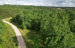 RON THAMES Rd, Arley, AL 35541