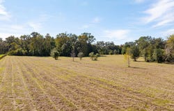 Norris Bishop Loop, Brooksville, FL 34614