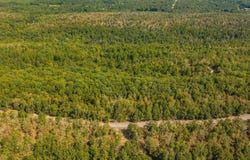 42 Allen, Vilonia, AR 72173