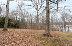 Holly Hill Drive lot: 15, Buffalo Junction, VA 24529
