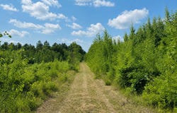 Chimney Road, Nevis, MN 56467
