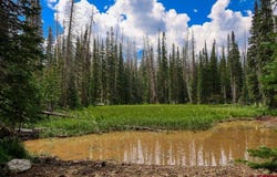 Stunner Pass, Platoro, CO 81120