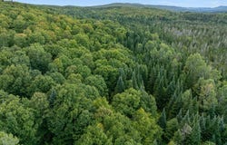 Wood Yard Crossing lot: 5, Pittsburg, NH 03592